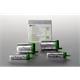3M Express 2 Penta Putty Refill