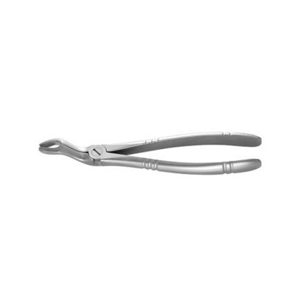 American Eagle Extraktionszange Fig. 67A AESEFCU3M