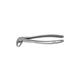 American Eagle Extraktionszange Figur 22 AESEFCLM