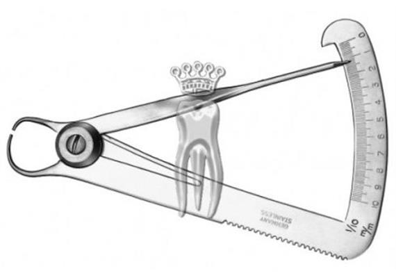 C.Martin Tasterzirkel Iwanson 1594