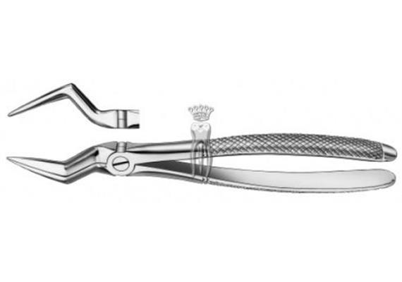 C.Martin Wurzelzange 151 1/2