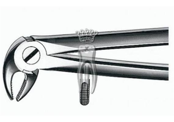 C.Martin Zahnzange E13