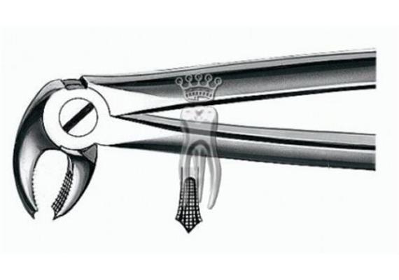 C.Martin Zahnzange E22