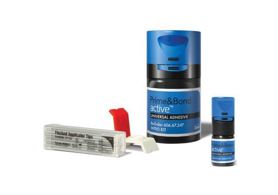 DENTSPLY Prime&Bond Active Intro Kit