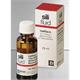 DETAX Sili Haftlack Fluid