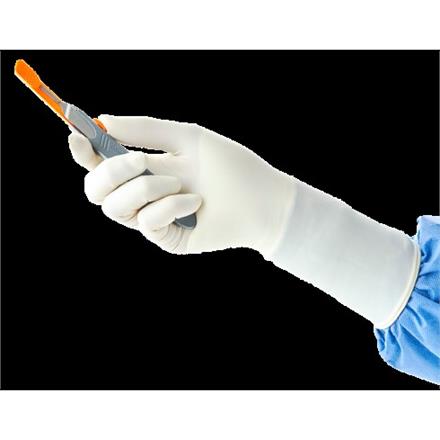 Encore Acclaim Latex puderfrei steril 6.5
