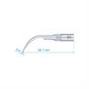 GD1 Scaler Tip Satelec NSK Type Premium Plus