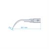 GD1 Scaler Tip Satelec NSK Type Premium Plus