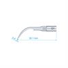 GS1 Scaler Tip Sirona Type Premium Plus