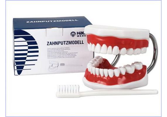 Hager+Werken Super Zahnbürste (Demo)