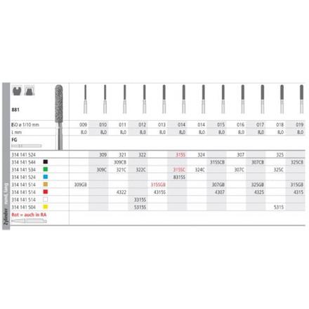Intensiv Diamant FG 309C