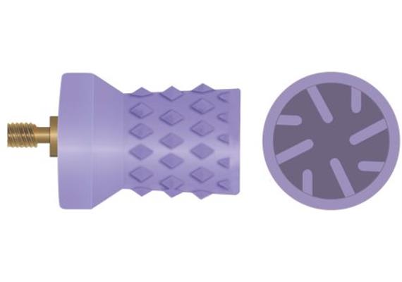 Kerr Prophy Cups Screw violett 9004