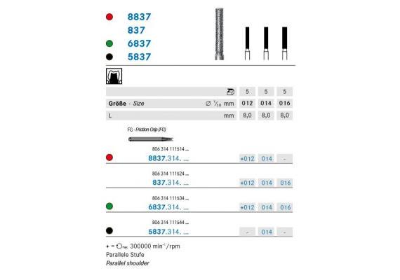 Komet Diamant FG 8837.314.012
