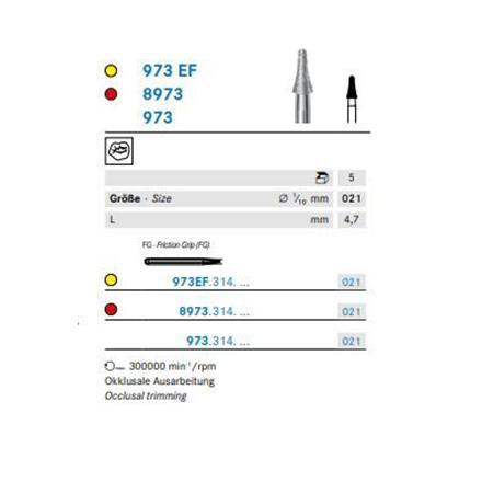 Komet Diamant FG 8973.314.021