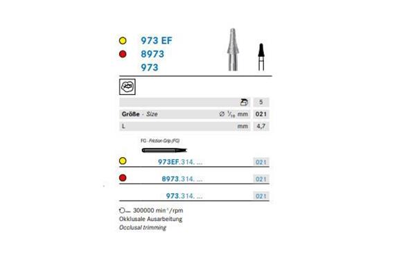 Komet Diamant FG 8973.314.021
