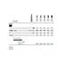 Komet HM FG H23L.314.012