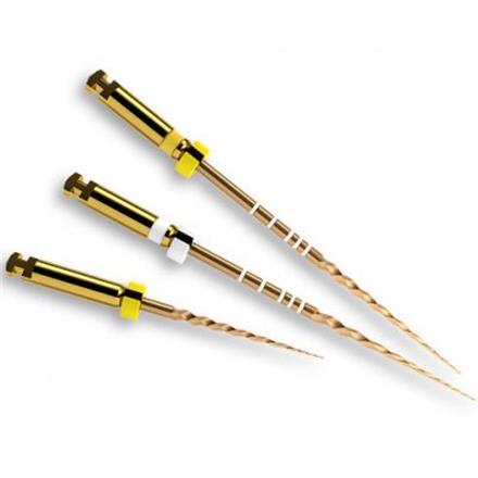 Maillefer Pro-Taper Gold File 19mm/SX