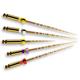 Maillefer Pro-Taper Gold File 25mm/F2