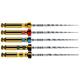 Maillefer Pro-Taper NEXT X1 31mm