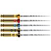 Maillefer Pro-Taper NEXT X1-X3 31mm
