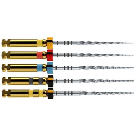 Maillefer Pro-Taper NEXT X2 25mm