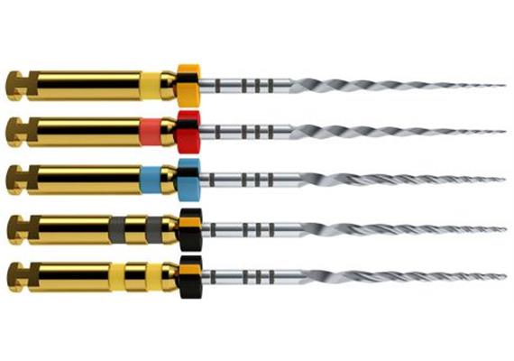 Maillefer Pro-Taper NEXT X2 31mm