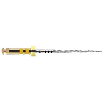 Maillefer Pro-Taper NEXT XA 19mm