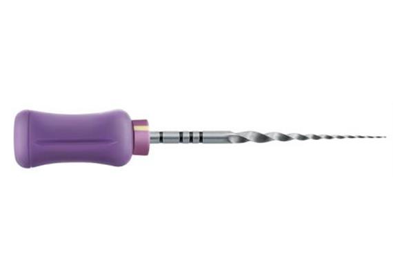 Maillefer Pro-Taper Shap.File man.21mm/S2
