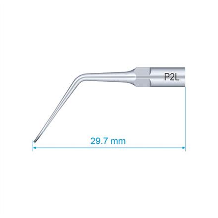 P2L Scaler Tip EMS Type Premium Plus