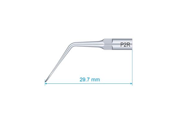 P2R Scaler Tip EMS Type Premium Plus