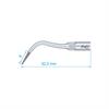 P4D Scaler Tip EMS Type Premium Plus