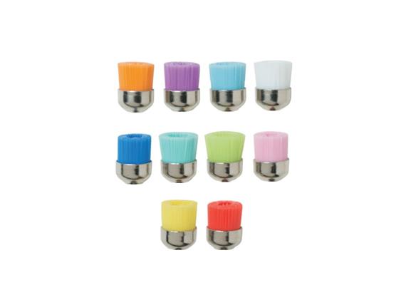 Prophy Brushes RA Assorted Colors Regular