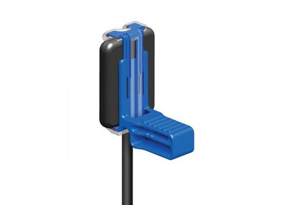 RINN XCP-DS FIT Anterior