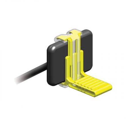 RINN XCP-DS FIT Posterior