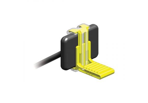 RINN XCP-DS FIT Posterior