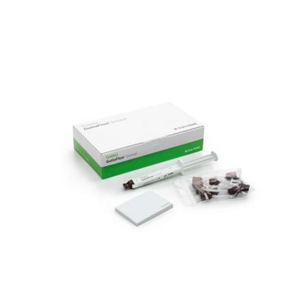 ROEKO GuttaFlow bioseal Standardset