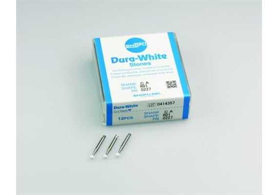 SHOFU Dura White WS RD1