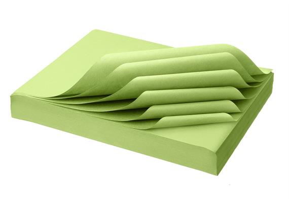 TOP TRAY - Traypapier maxi 28x36 cm fresh grün