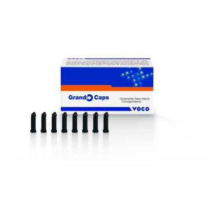 VOCO Grandio Caps B3