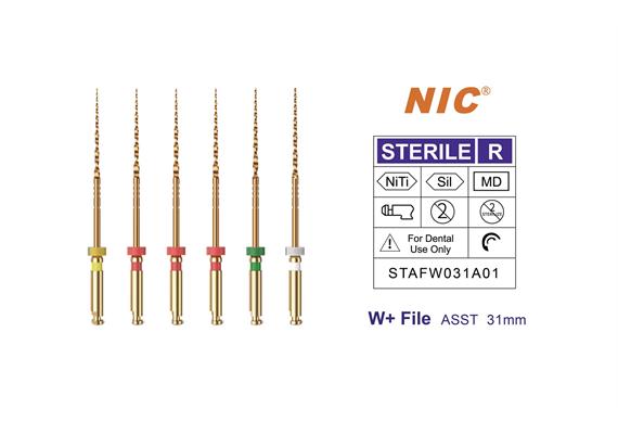 W+-file ASST 31 mm