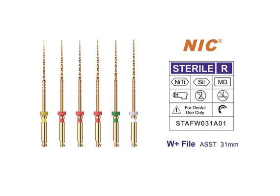 W+-file ASST 31 mm